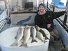 (11/23/2017) - Nice Striped Bass